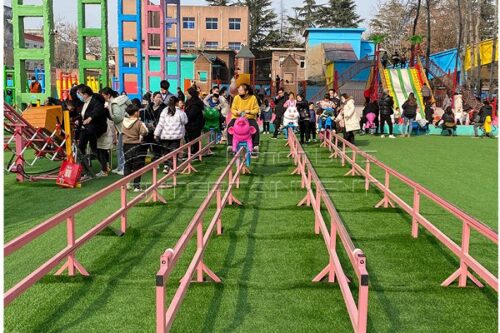 Pig riding competition non-powered amusement ride