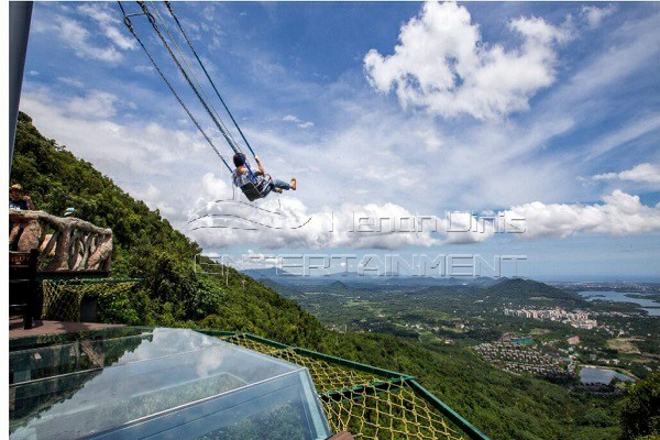 Cliff swing for sale