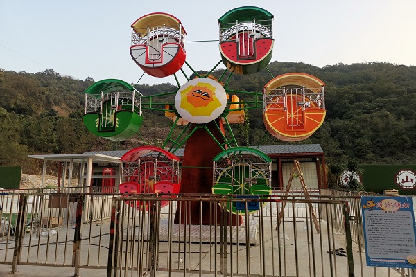 kids ferris wheel